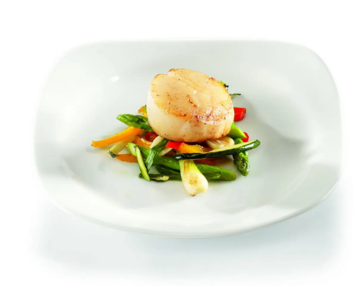Assiette creuse carré ivoire porcelaine vitrifiée 21x21 cm Ska - RAK Discount
