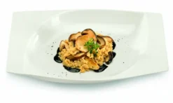 RAK Assiette creuse rectangulaire ivoire porcelaine vitrifiée 26,2x17,2 cm Mazza New