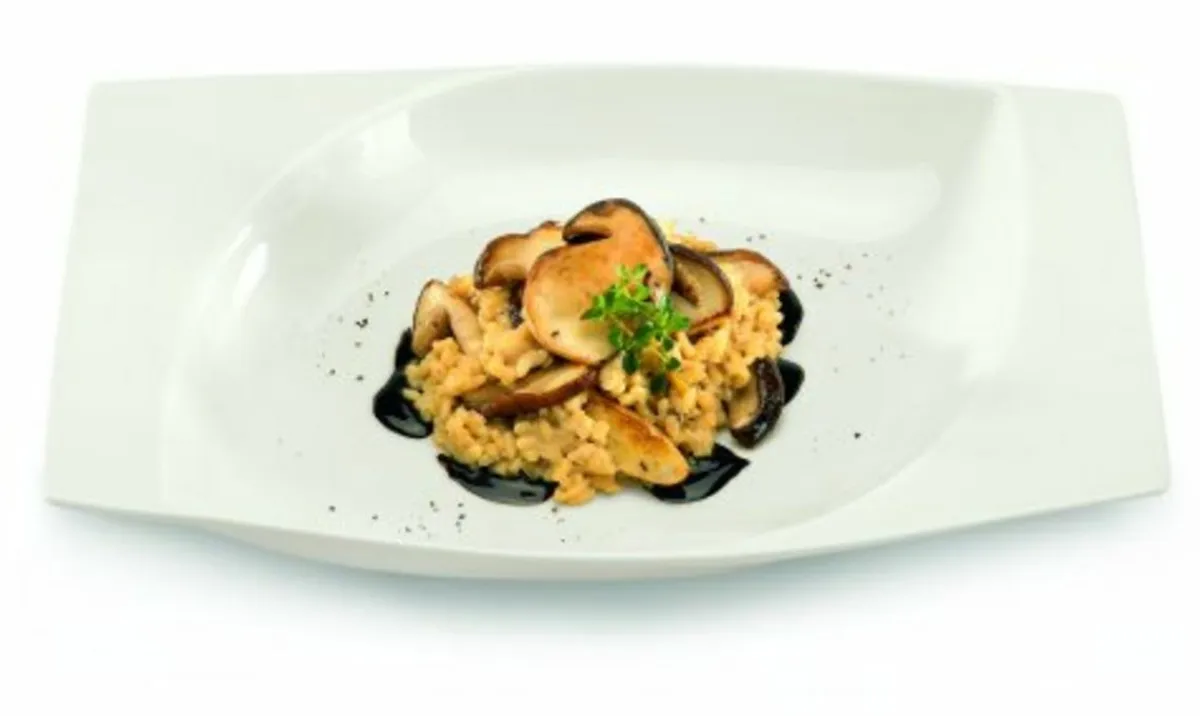 RAK Assiette creuse rectangulaire ivoire porcelaine vitrifiée 26,2x17,2 cm Mazza New