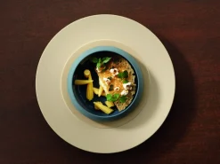 DEGRENNE Assiette creuse rond argile verte grès émaillé Ø 23 cm Bahia Best