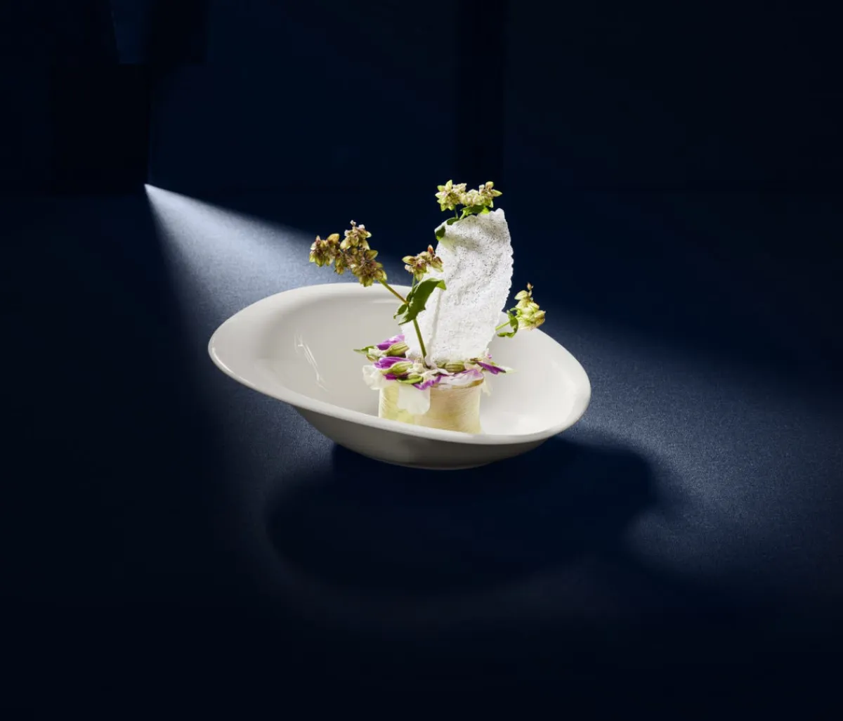 RAK Assiette creuse rond blanc porcelaine bone china Ø 27,3 mm Pose Best
