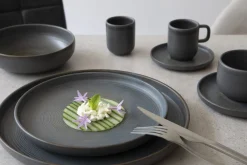 Assiette creuse rond grès émaillé Ø 22 cm Tornado - ACCOLADE Hot