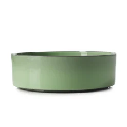 REVOL Assiette creuse rond vert porcelaine culinaire Ø 17 cm  Caractère Best