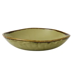 Assiette creuse rond vert porcelaine vitrifiée Ø 26,4 cm Harvest - DUDSON Discount