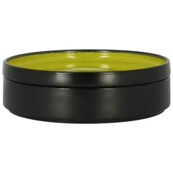 Assiette creuse rond vert porcelaine vitrifiée Ø 22,8 cm Fire - RAK New