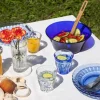 DURALEX Assiette creuse vermeil verre trempé Ø 23 cm Picardie Best