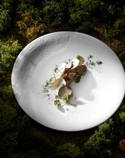 Assiette à dessert rond blanc porcelaine de limoges Ø 21,5 cm Supernature - DEGRENNE Clearance