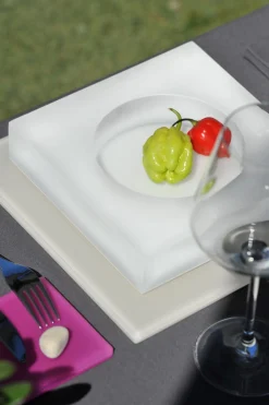 MEALPLAK Assiette gourmet carré blanc résine Nacryl® 15 cm New