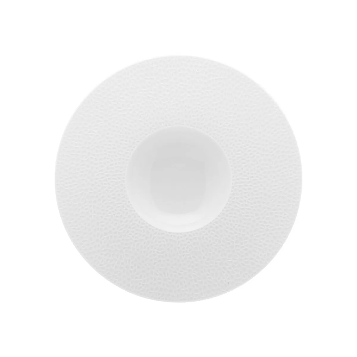 Assiette gourmet rond blanc porcelaine de limoges Ø 28 cm L' Fragment - DEGRENNE New