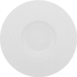 DEGRENNE Assiette gourmet rond blanc porcelaine de limoges Ø 28 cm L' Perles De Rosee Blanches Sale