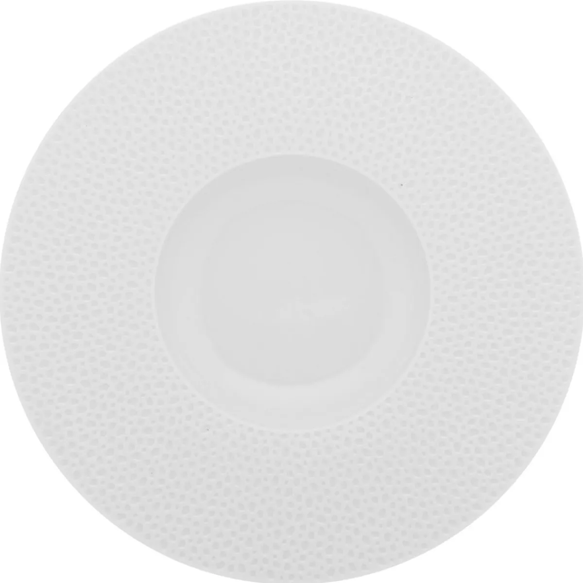 DEGRENNE Assiette gourmet rond blanc porcelaine de limoges Ø 28 cm L' Perles De Rosee Blanches Sale