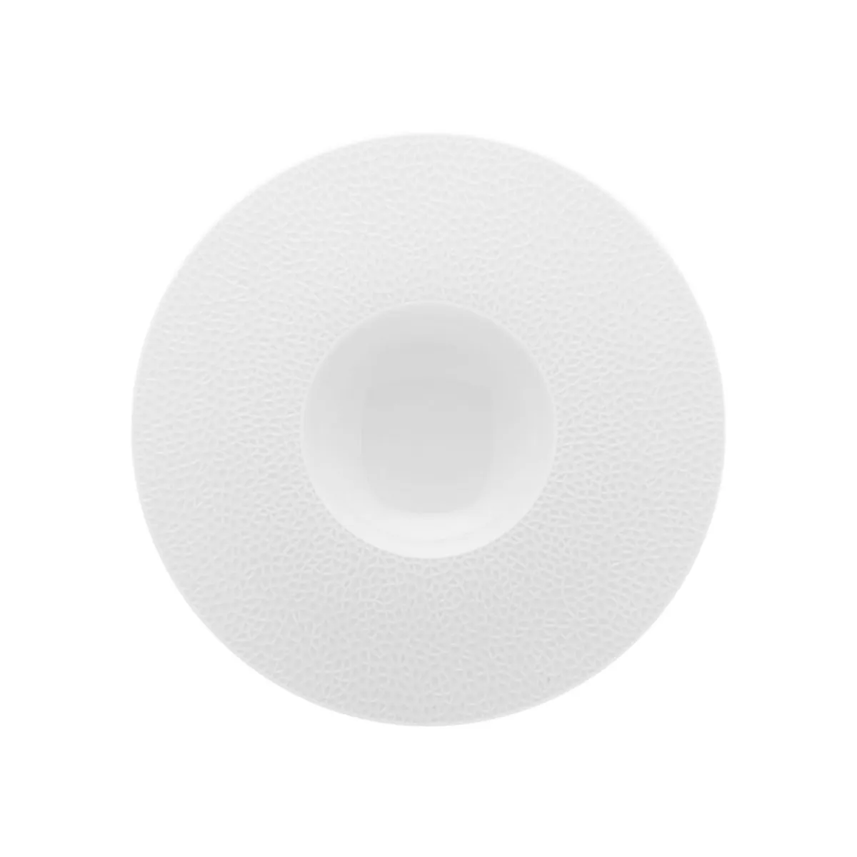 DEGRENNE Assiette gourmet rond blanc porcelaine de limoges Ø 30 cm L' Fragment