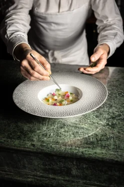 DEGRENNE Assiette gourmet rond blanc porcelaine de limoges Ø 30 cm L' Fragment Discount