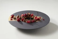 REVOL Assiette gourmet rond noir porcelaine culinaire Ø 30,3 cm Sphere Best