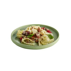 APS Assiette plate bord droit rond vert porcelaine Ø 26 cm The Grid Online