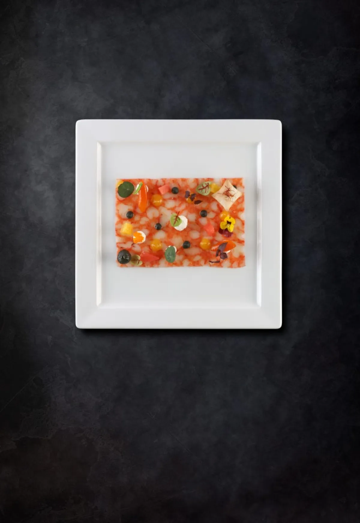 Assiette plate carré blanc porcelaine vitrifiée 21x21 cm Access - RAK Outlet