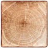 RAK Assiette plate carré brun porcelaine vitrifiée 30,5x30,5 cm Woodart Online