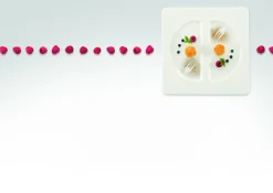 RAK Assiette plate carré ivoire porcelaine vitrifiée 20,8x20,8 cm Allspice Outlet