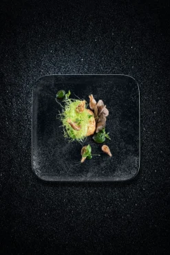 RAK Assiette plate carré noir porcelaine vitrifiée 33x33 cm Karbon