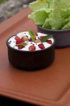 RAK Assiette plate carré noir porcelaine vitrifiée 30,3x30,3 cm Neo Fusion Clearance