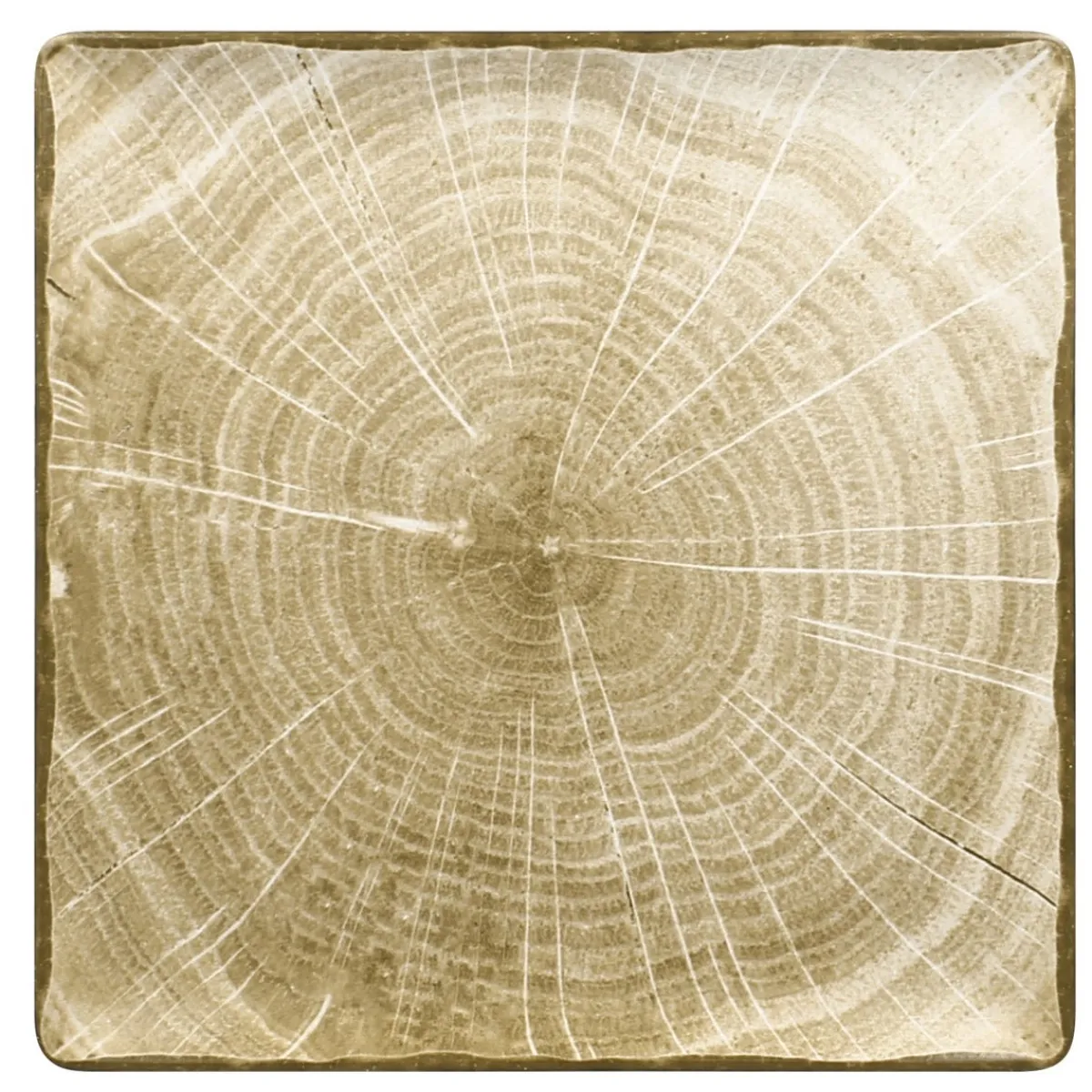 Assiette plate carré vert porcelaine vitrifiée 30,5x30,5 cm Woodart - RAK Discount