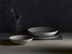 Assiette plate rectangulaire gris porcelaine vitrifiée 35,5x18,9 cm Evo Origins - DUDSON Best