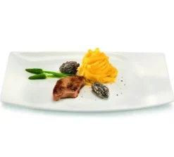 RAK Assiette plate rectangulaire ivoire porcelaine vitrifiée 32,1x20,7 cm Mazza Clearance