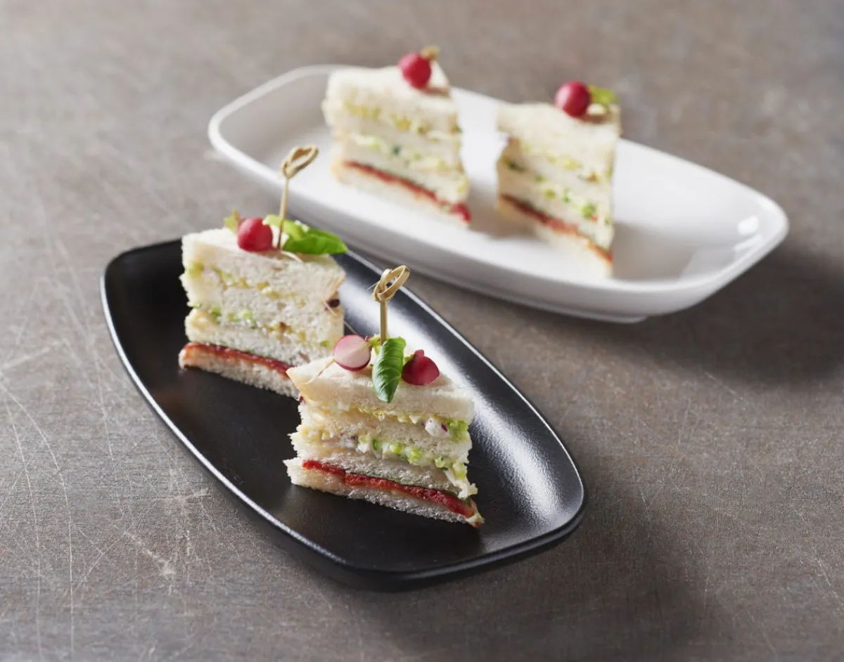 REVOL Assiette plate rectangulaire blanc porcelaine culinaire 24x12,5 cm Club Discount