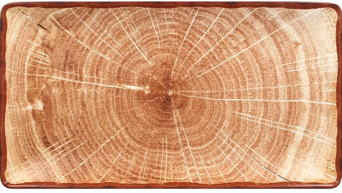 RAK Assiette plate rectangulaire brun porcelaine vitrifiée 33,8x18,3 cm Woodart New