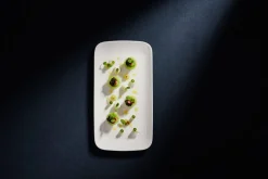 Assiette plate rectangulaire blanc porcelaine bone china 27,7x13,9 cm Bravura - RAK Online