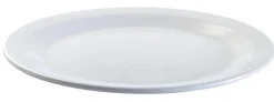 Assiette plate rond blanc mélamine Ø 22,5 cm - PLATEX Sale