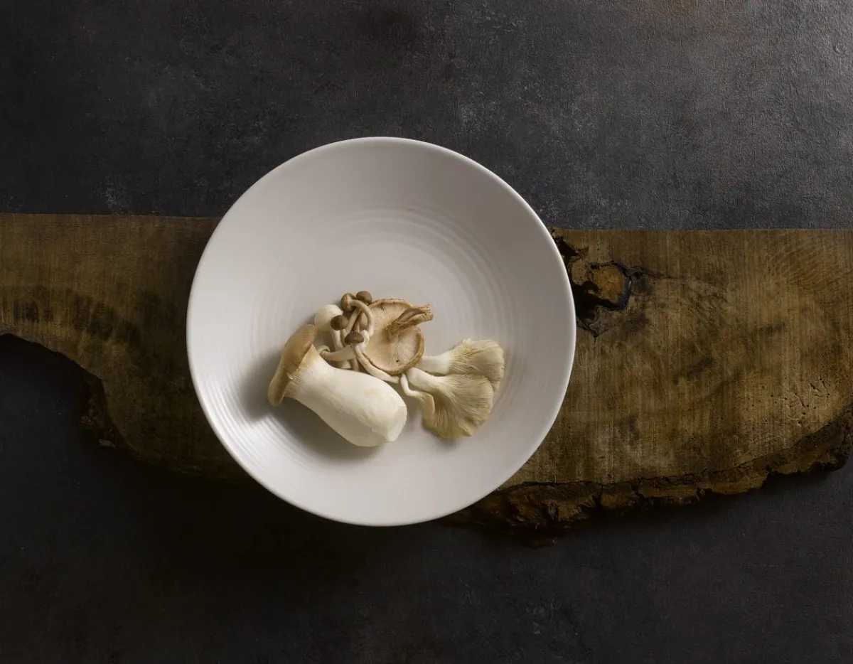 Assiette plate rond blanc porcelaine Ø 16,2 cm Evo Pearl - DUDSON Outlet