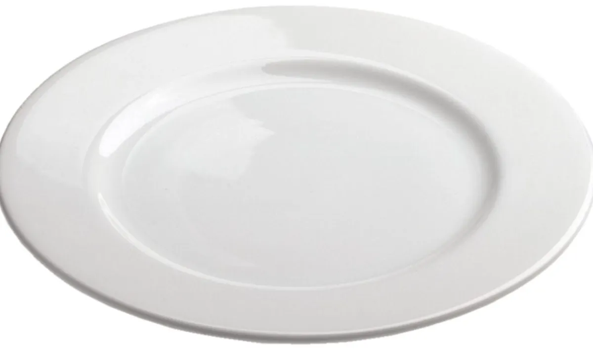 REVOL Assiette plate rond blanc porcelaine culinaire Ø 19 cm Les Essentiels Best