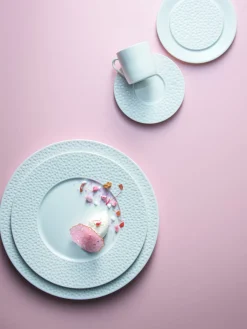 Assiette plate rond blanc porcelaine de limoges Ø 28,5 cm L' Perles De Rosee Blanches - DEGRENNE Discount