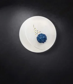 Assiette plate rond blanc porcelaine vitrifiée Ø 10,9 cm Moon - RAK Best