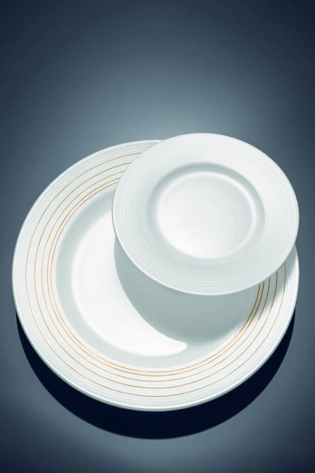 Assiette plate rond blanc porcelaine Ø 24 cm Stella Vogue - VILLEROY & BOCH Online