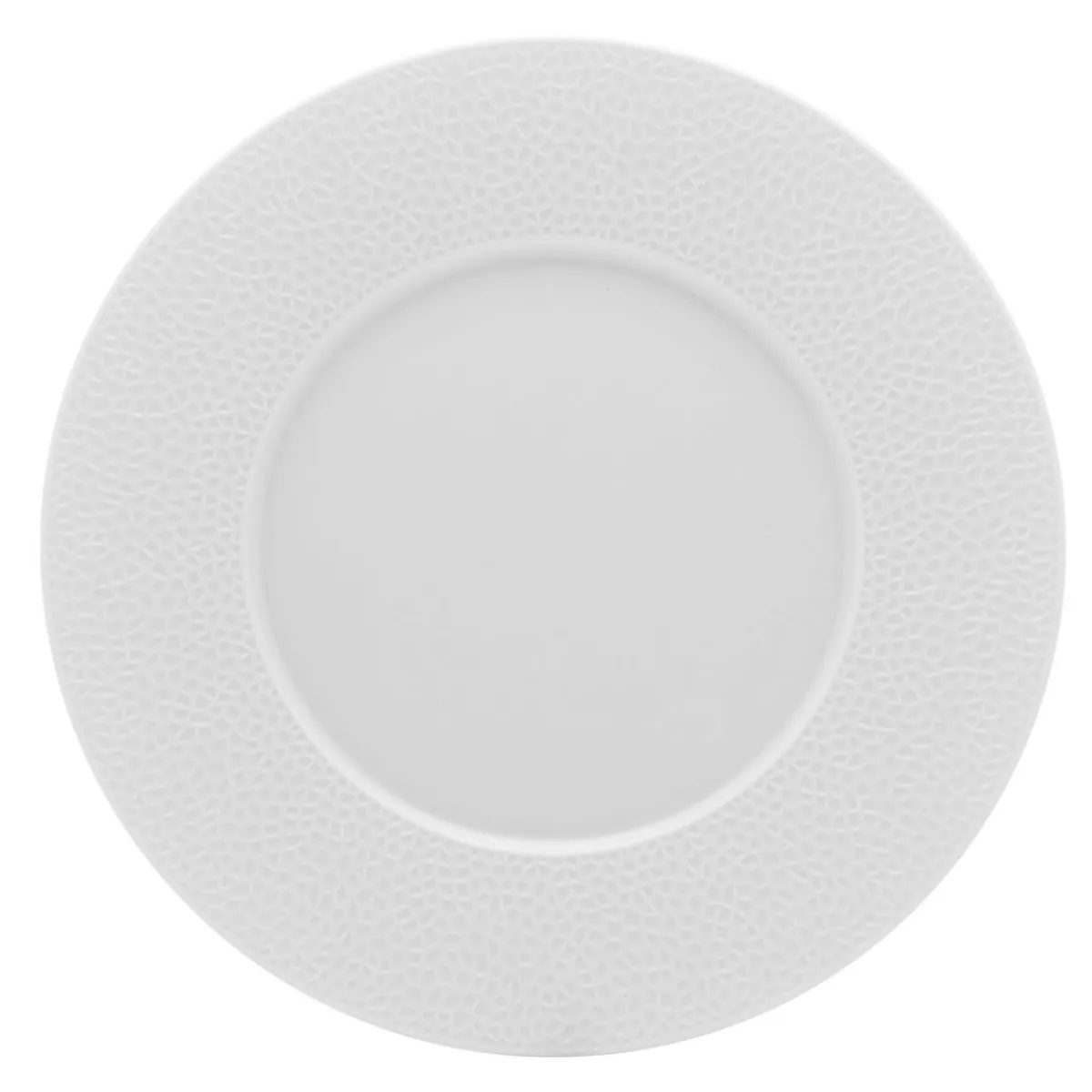 DEGRENNE Assiette plate rond blanc porcelaine de limoges Ø 28 cm L' Fragment Outlet