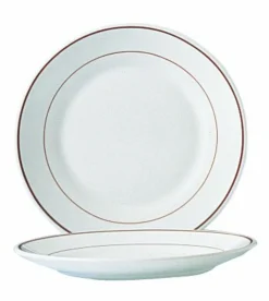 ARCOROC Assiette plate rond blanc verre opal Ø 19 cm Restaurant Filet Bordeaux Clearance