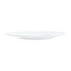 ARCOROC Assiette plate rond blanc verre opal Ø 19,6 cm Trianon New