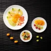 ARCOROC Assiette plate rond blanc verre opal Ø 25,4 cm Restaurant New