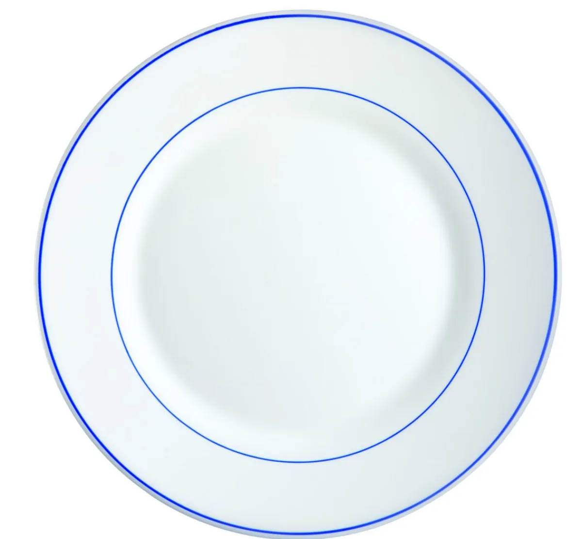 ARCOROC Assiette plate rond blanc verre opal Ø 25 cm Restaurant Filet Bleu Hot