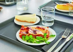 Assiette plate rond blanc verre opal Ø 25,8 cm Hoteliere - ARCOROC Discount