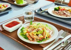 Assiette plate rond blanc verre opal Ø 25,8 cm Hoteliere - ARCOROC Discount
