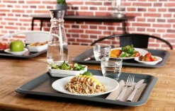 ARCOROC Assiette plate rond blanc verre opal Ø 22,5 cm Restaurant Best