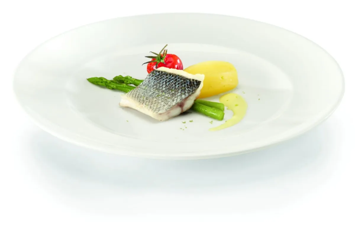 Assiette plate rond ivoire porcelaine vitrifiée Ø 24 cm Banquet - RAK Online