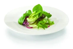 RAK Assiette plate rond ivoire porcelaine vitrifiée Ø 15 cm Banquet Discount