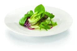 RAK Assiette plate rond ivoire porcelaine vitrifiée Ø 20 cm Banquet Discount