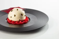 Assiette plate rond noir porcelaine vitrifiée Ø 21,7 cm Edge - RAK Discount