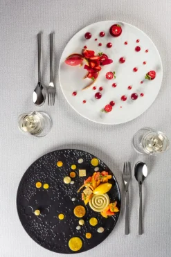 Assiette plate rond noir porcelaine vitrifiée Ø 29,9 cm Create - RAK