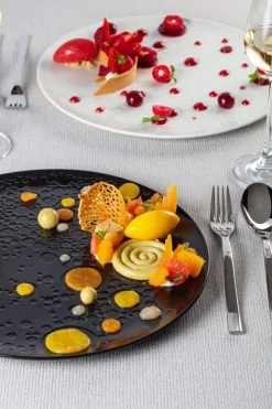Assiette plate rond noir porcelaine vitrifiée Ø 29,9 cm Create - RAK